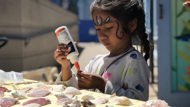 critter crafting and ocean acidification education with the turning the tides practicum team