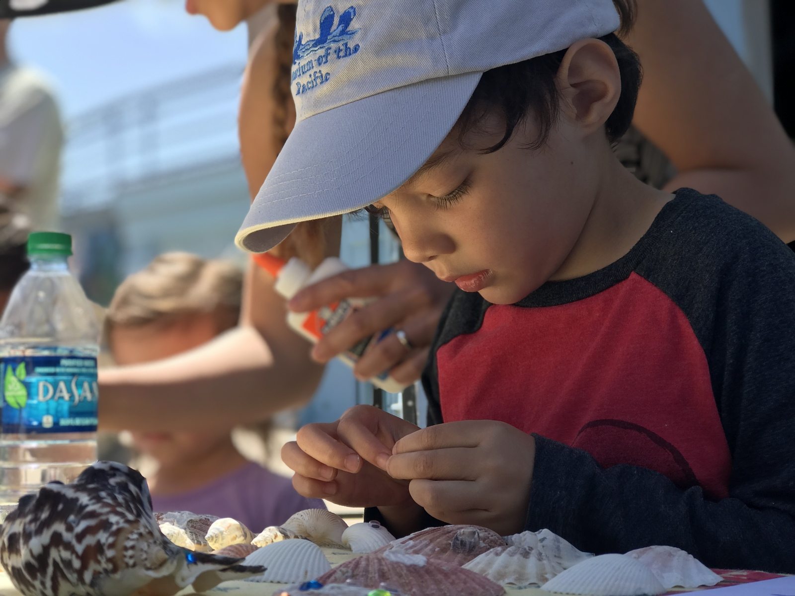 critter crafting and ocean acidification education with the turning the tides practicum team