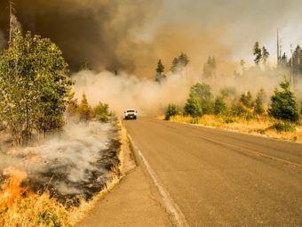 how wildfire will shape our future