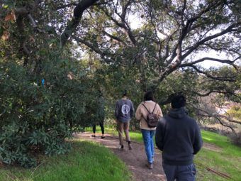 urban nature laboratory team photo stream: spring 2018