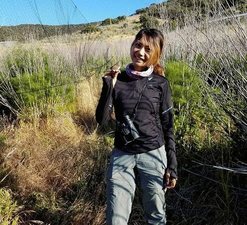 stunt ranch reserve researchers study song sparrow adaptation to climate change