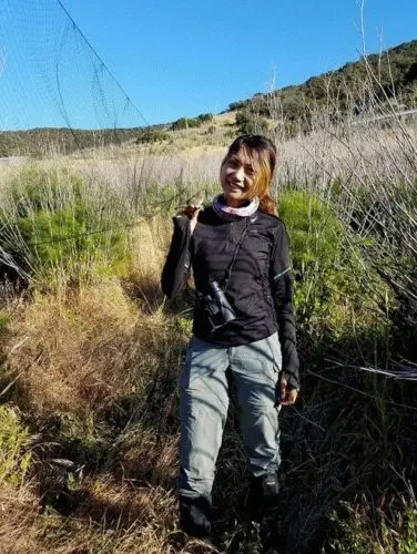 stunt ranch reserve researchers study song sparrow adaptation to climate change