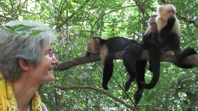 lomas barbudal monkey project