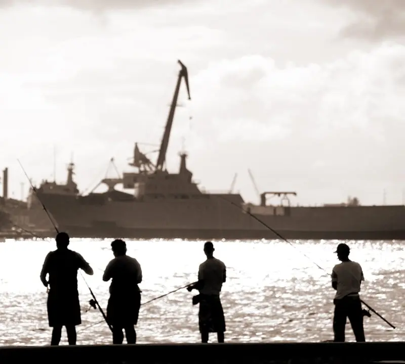 developing human capital in support of islands’ blue economy