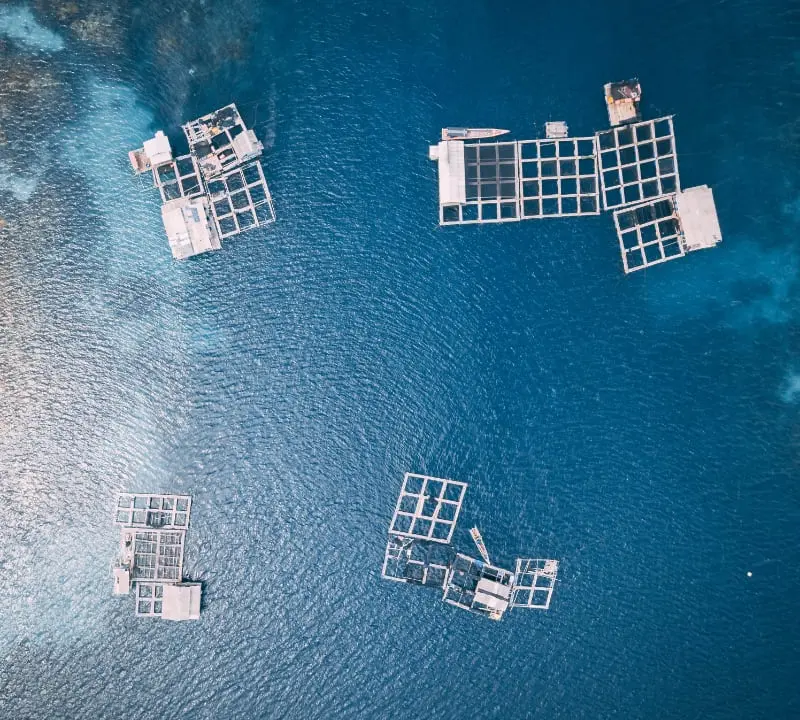 identifying blue economy industries with growth opportunities