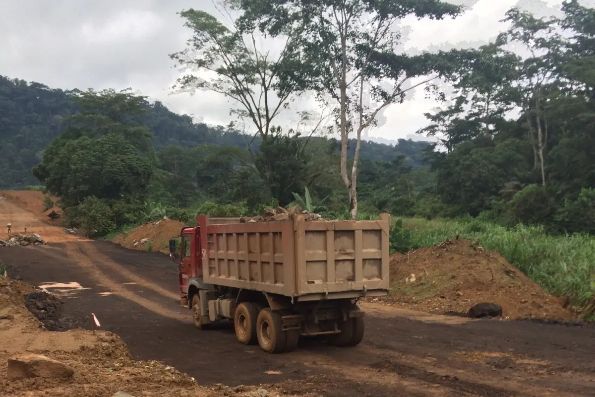 furniture from china contributes to deforestation in central africa