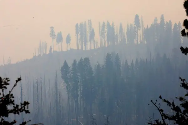 california today: ferguson fire forces largest closing of yosemite in decades