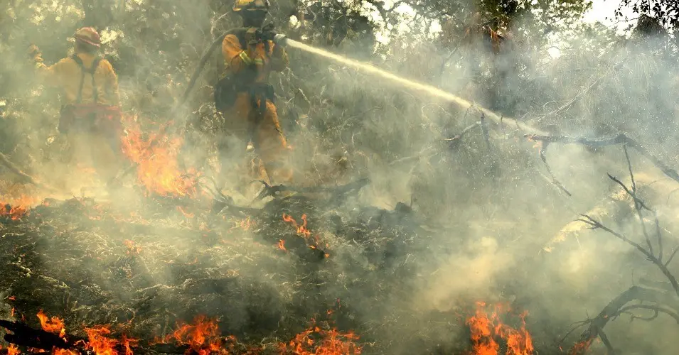 ‘repugnant and dangerous’: ignoring role of climate crisis, trump offers buffoonery on california wildfires