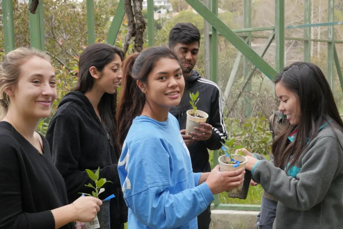 ucla student wins award for climate action and social justice