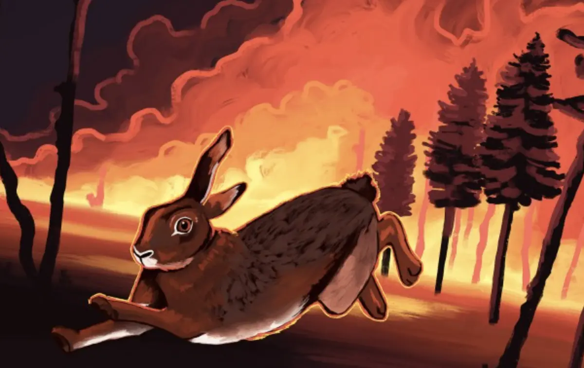 campus queries: what is the impact of wildfires on wildlife in california?