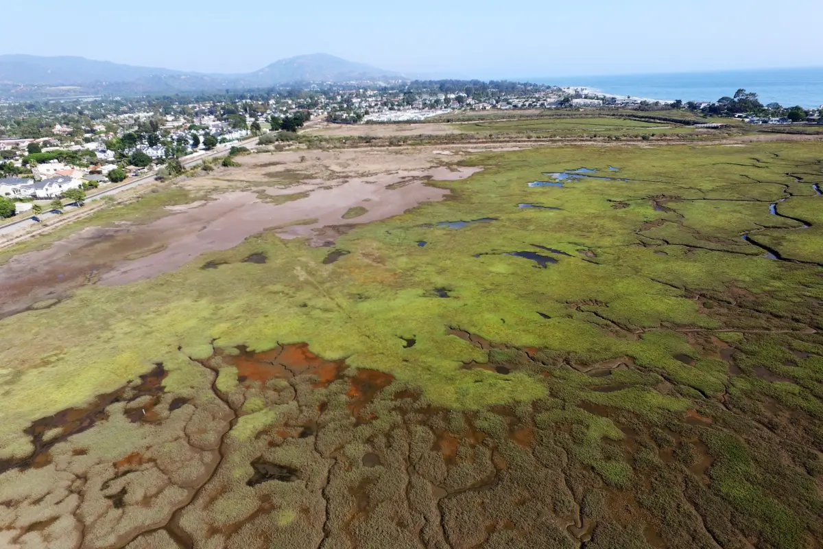 new hope for southern california’s besieged wetlands