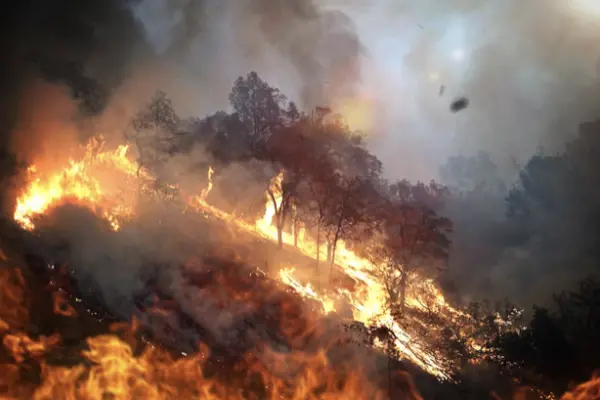 camp fire carbon dioxide emissions, perhaps a record says u.s. interior sec’y