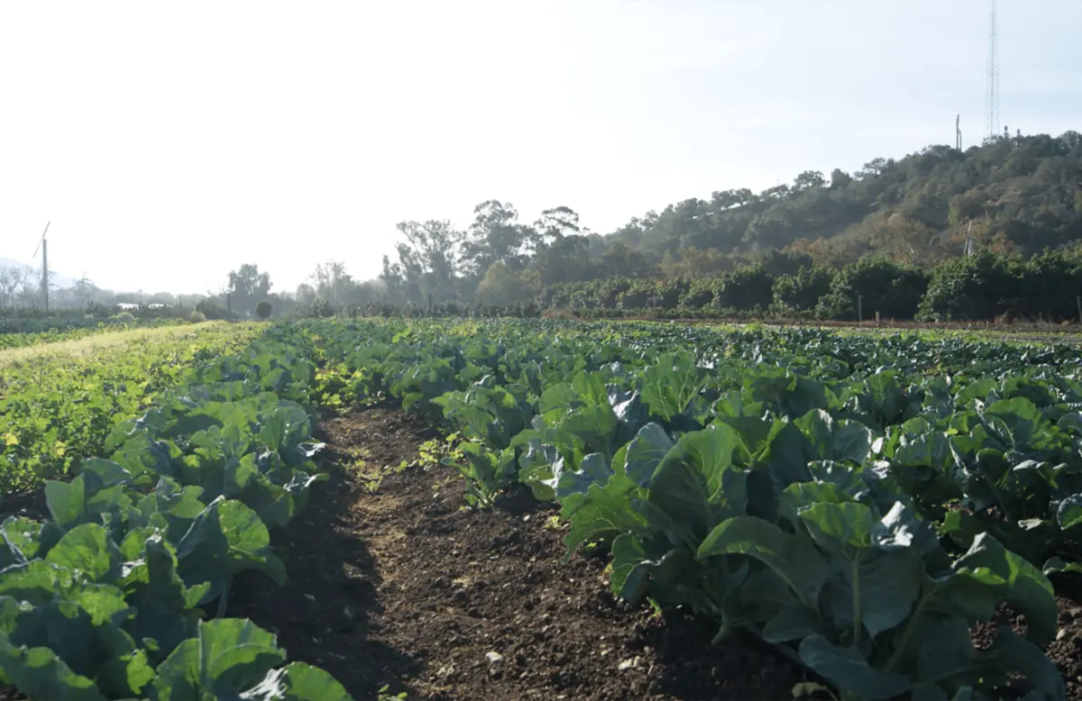 alex hall and neil berg, cal poly adapts to climate change, national report announces impacts