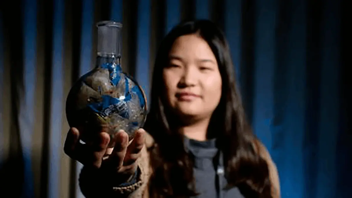 pritzker winner miranda wang in un environment