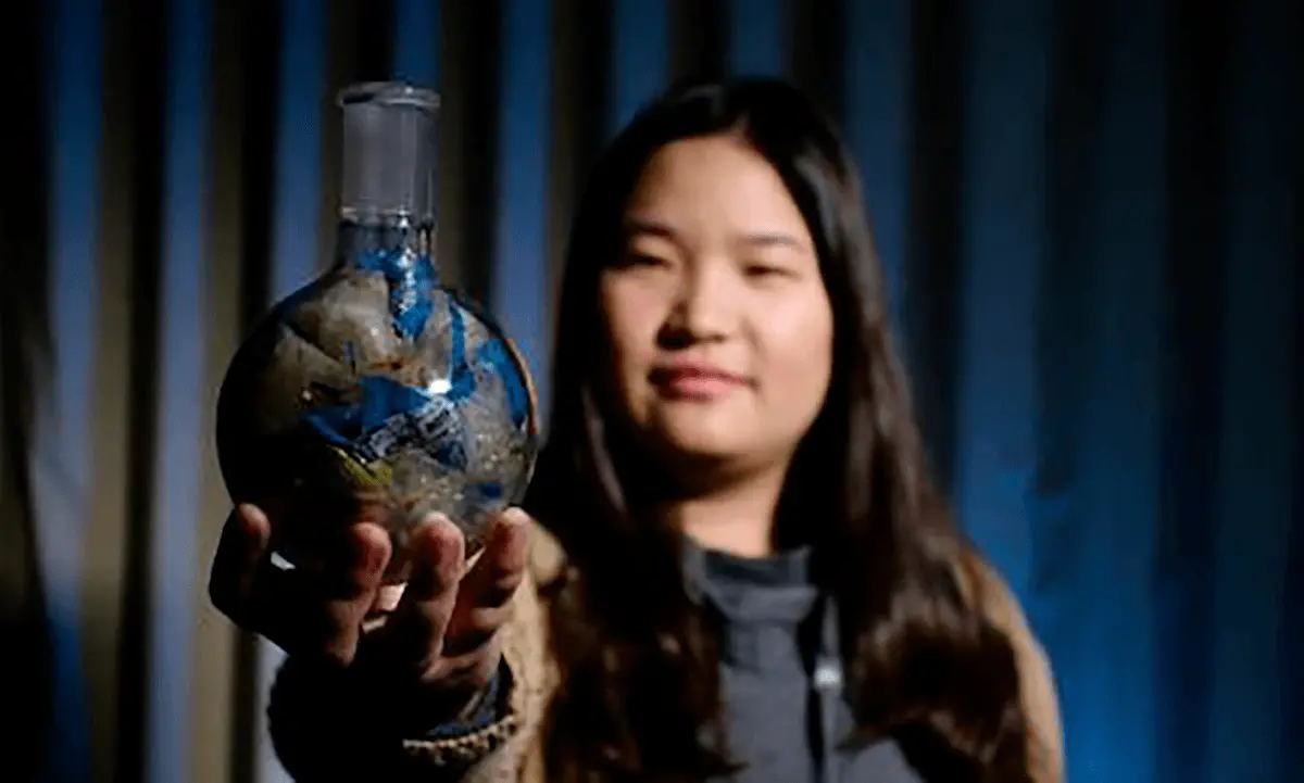 pritzker winner miranda wang in un environment