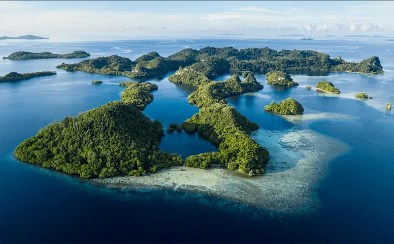 paul barber: what is the coral triangle?