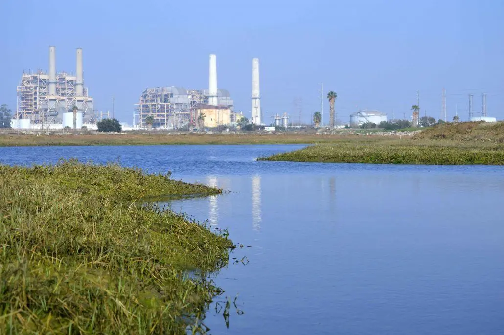 zinc pollution sources in the los cerritos watershed
