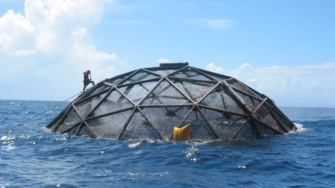 will ocean seafood farming sink or swim? ucla study evaluates its potential