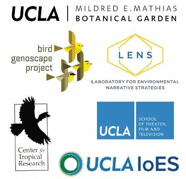 bird la day at ucla: a sensory exploration of birds of the world