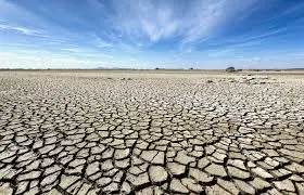 extreme weather