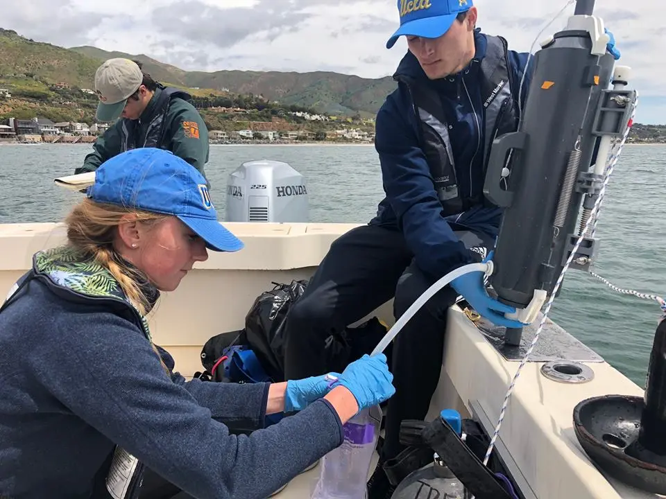 impacts of sea grass on ocean acidification in the santa monica bay