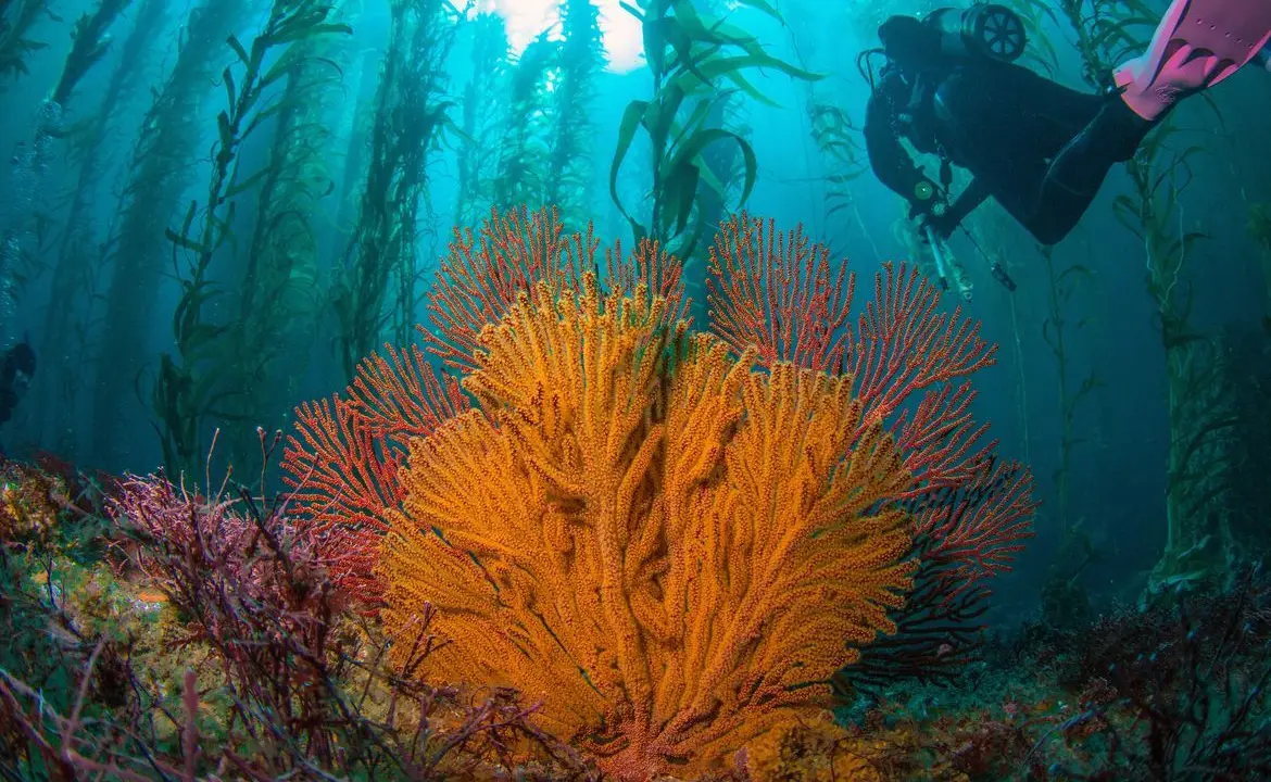 new environmental dna program makes conservation research faster, more efficient