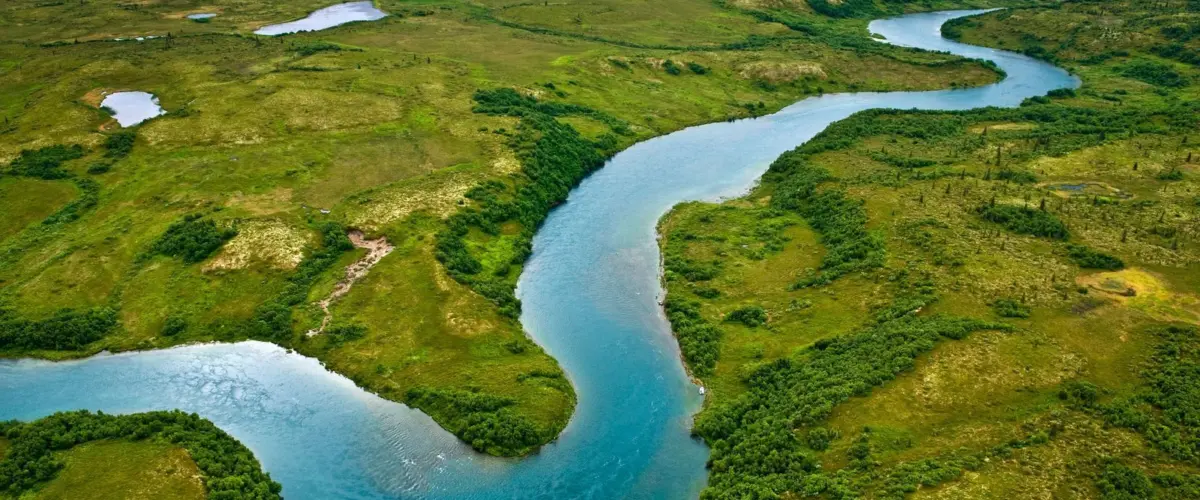the nature conservancy