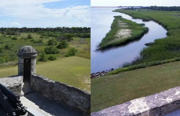 florida mangroves reveal complex relationship between climate and natural systems