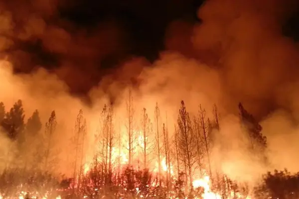 alex hall in the daily beast: the weird weather fanning the flames in northern california