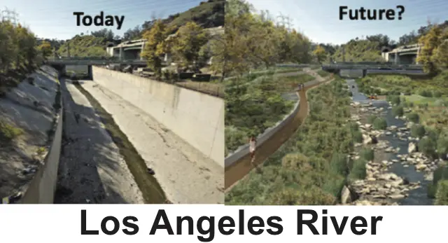 environmental dna as a tool for assessing microbial diversity & ecological impacts by contaminants at the bowtie parcel brownfield site in southern california