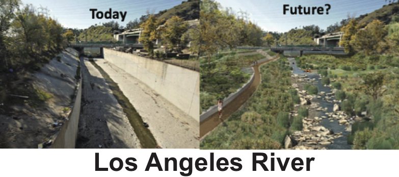 environmental dna as a tool for assessing microbial diversity & ecological impacts by contaminants at the bowtie parcel brownfield site in southern california