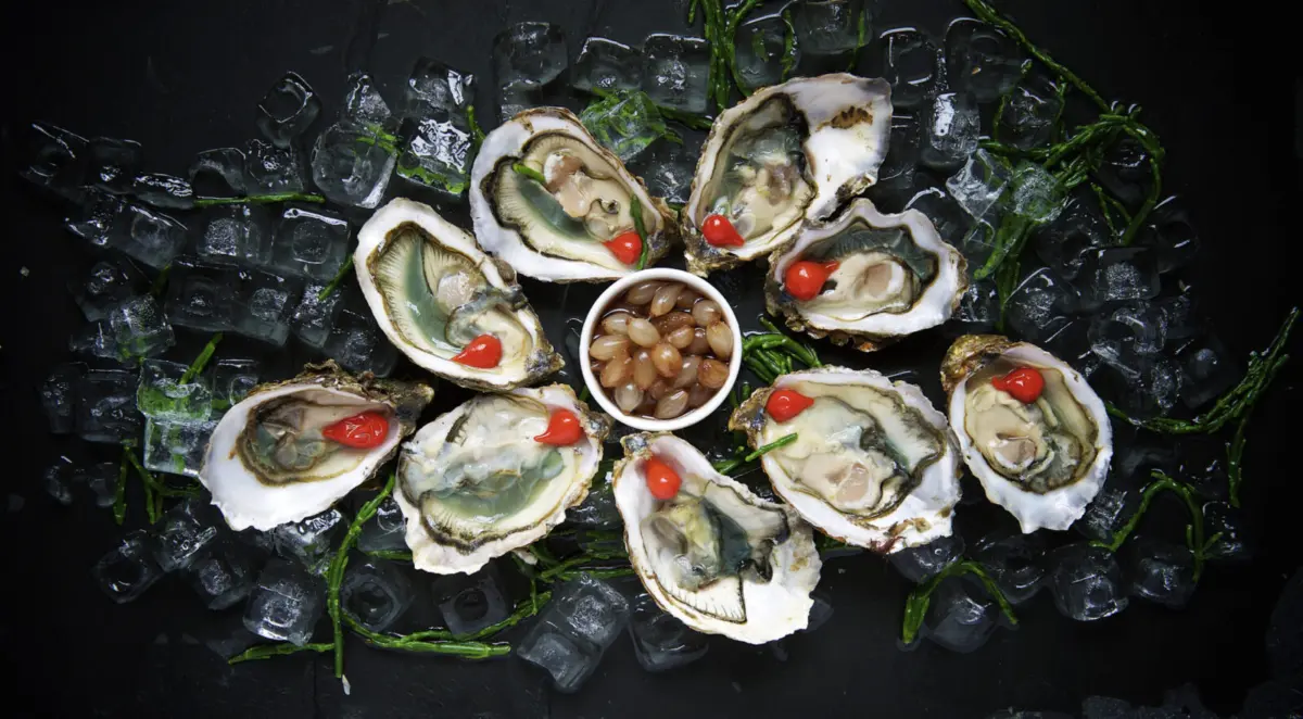 oysters as catch of the day? perhaps not, if ocean acidity keeps rising