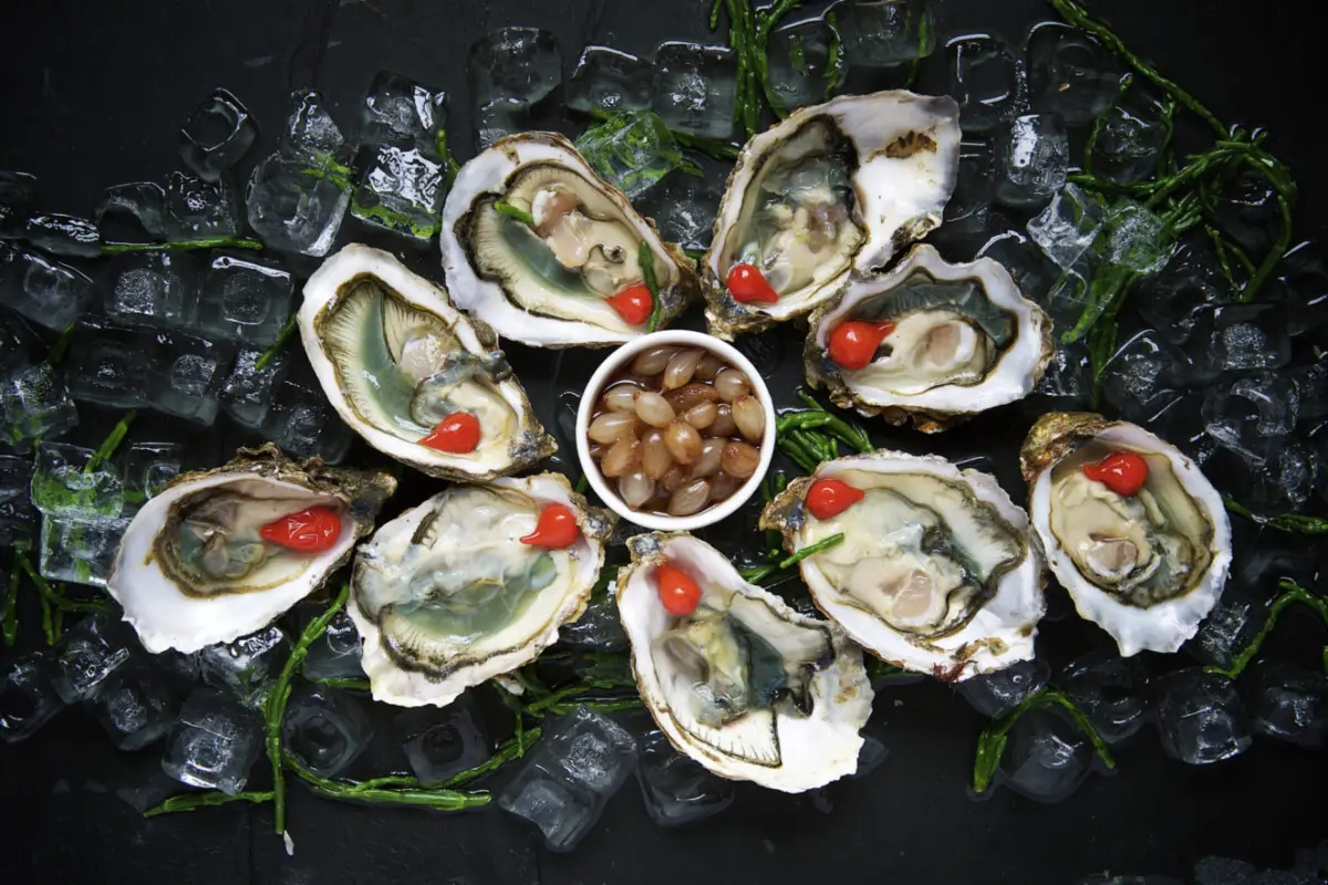 oysters as catch of the day? perhaps not, if ocean acidity keeps rising