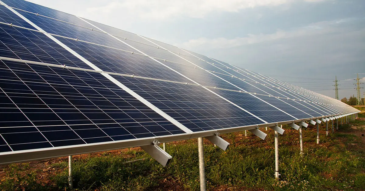 ryan harrigan and tom smith study featured in colorado state university magazine —  death by solar: $1.6 million doe grant supports scientists studying bird deaths at solar facilities