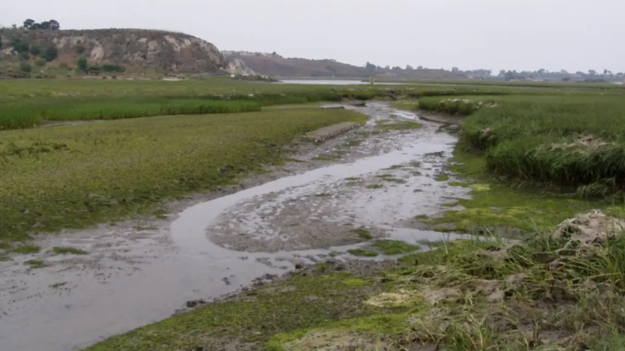 does eutrophication first drive “basification” then acidification in california estuaries?