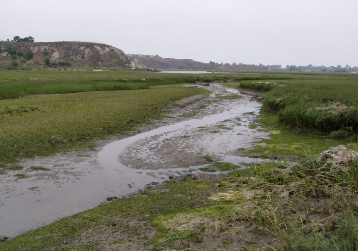 does eutrophication first drive “basification” then acidification in california estuaries?