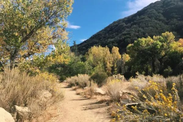 creating a native seed bank for urban restoration in the los angeles basin