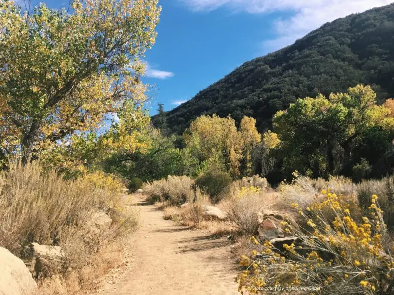 creating a native seed bank for urban restoration in the los angeles basin