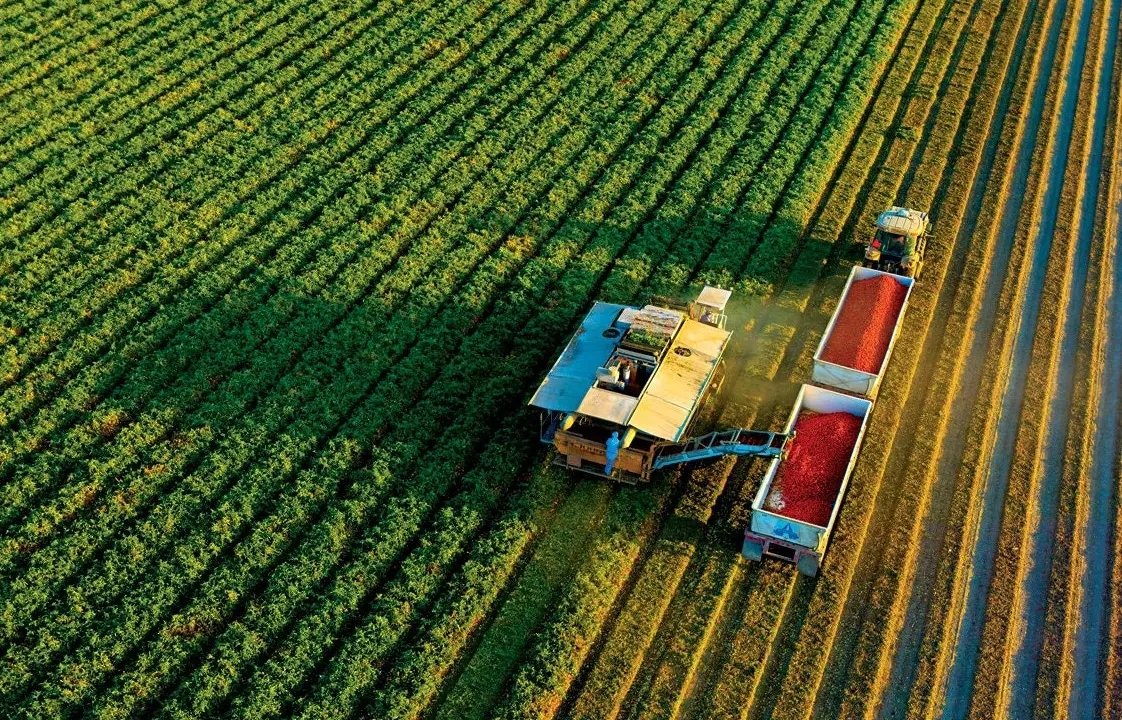carbon sequestration through compost