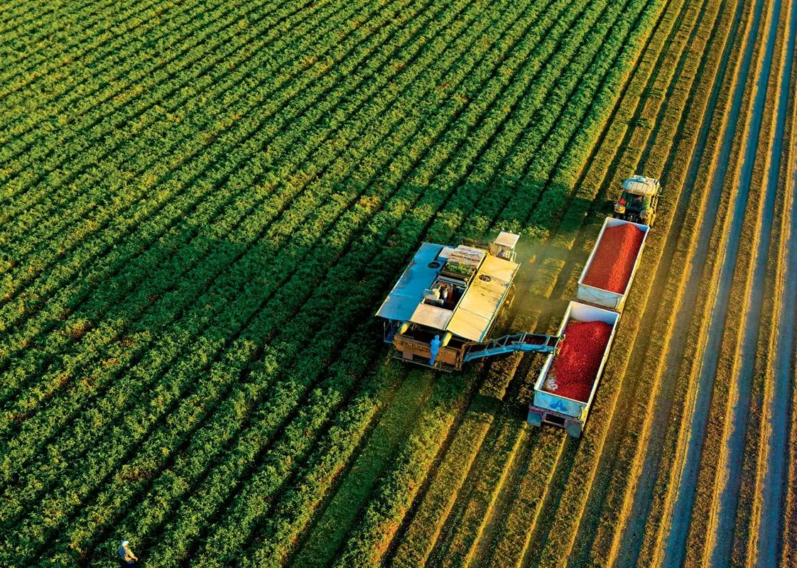 carbon sequestration through compost