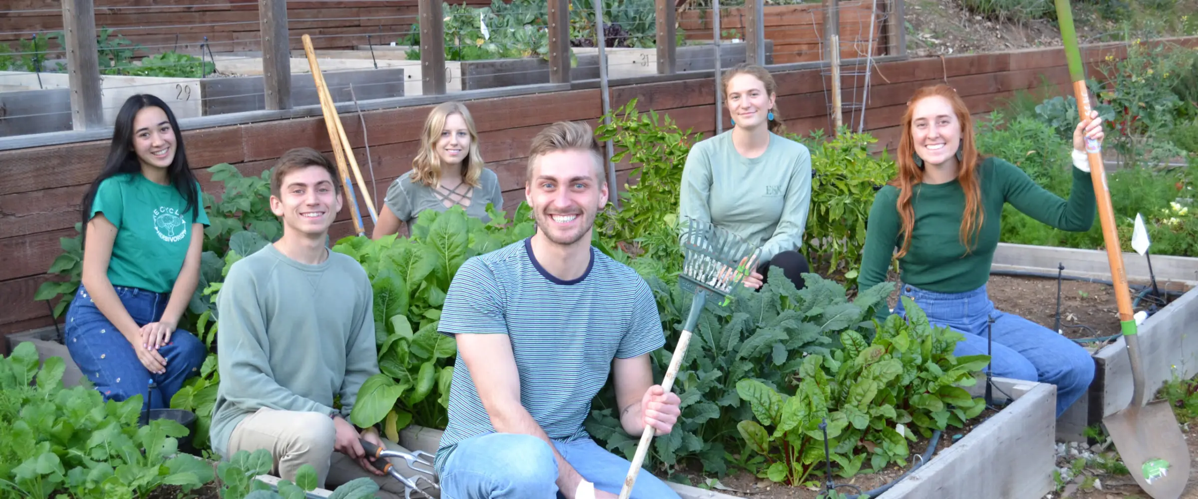community garden glory