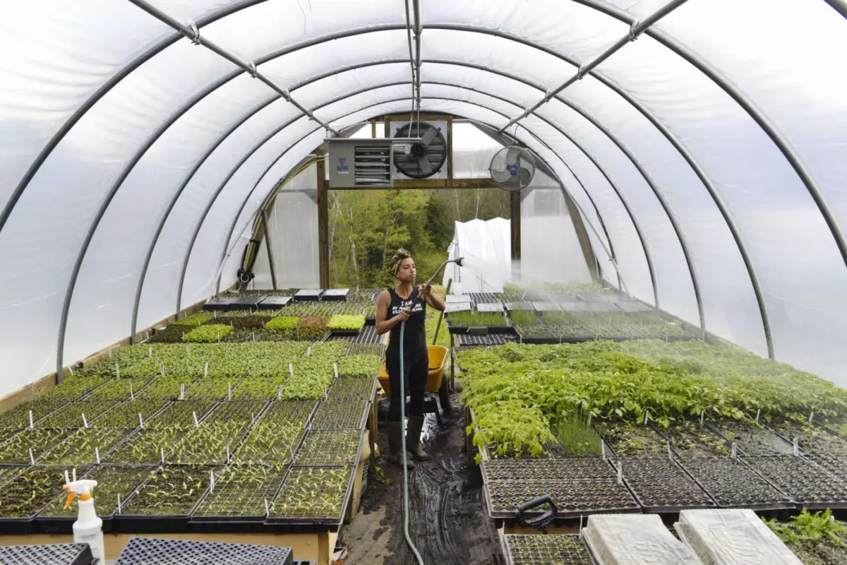Leah Penniman waters trays of seedlings inside a hoop-house greenhouse.
