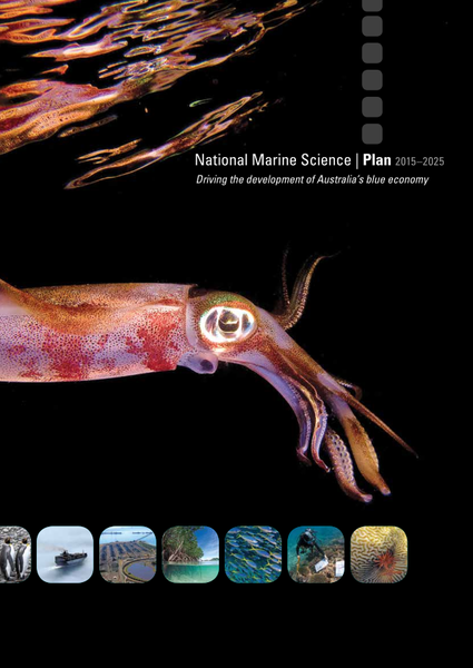 National Marine Science Plan 2015-2025: Driving the development of Australia's blue economy