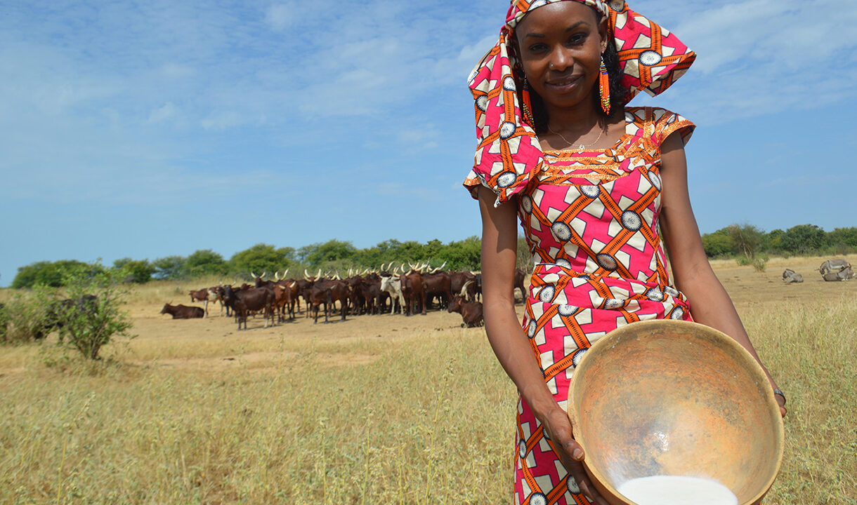 activism in pandemic times: q&a with hindou oumarou ibrahim, 2019 pritzker award winner