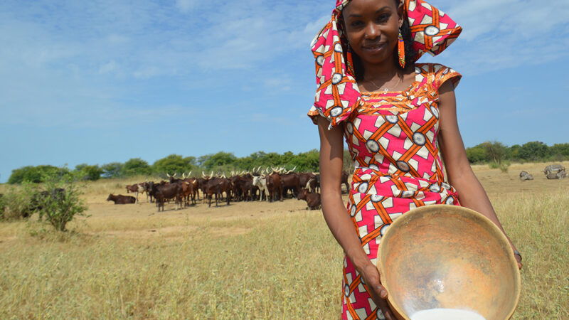 activism in pandemic times: q&a with hindou oumarou ibrahim, 2019 pritzker award winner