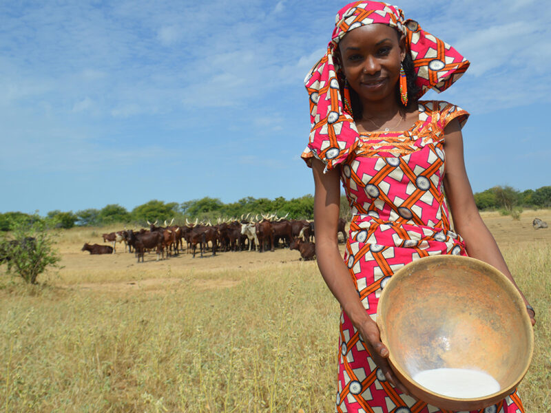 activism in pandemic times: q&a with hindou oumarou ibrahim, 2019 pritzker award winner