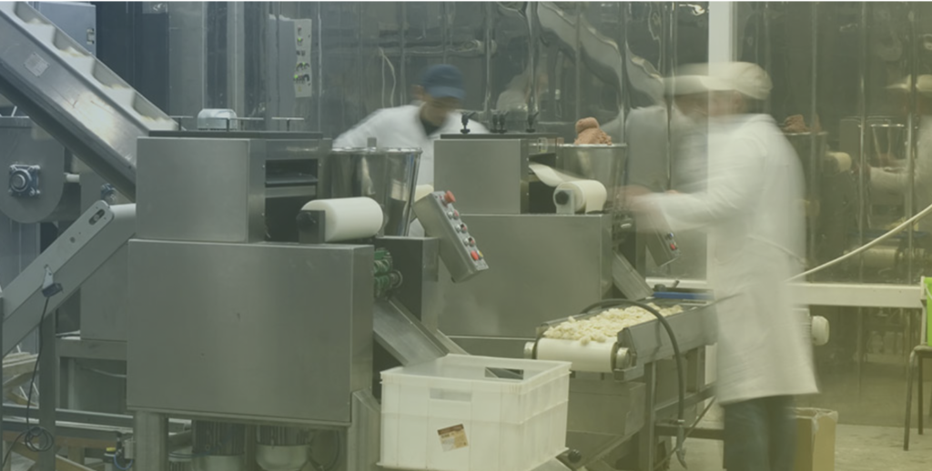 timothy malloy in ucla anderson review: should manufacturers use formal procedures to evaluate alternative materials?