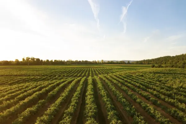 universities fighting world hunger virtual summit