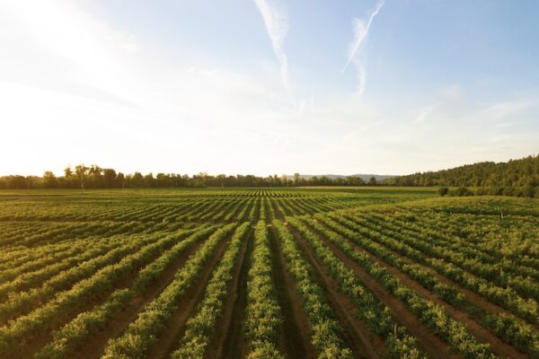 universities fighting world hunger virtual summit