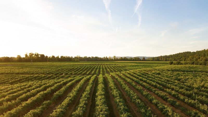 universities fighting world hunger virtual summit